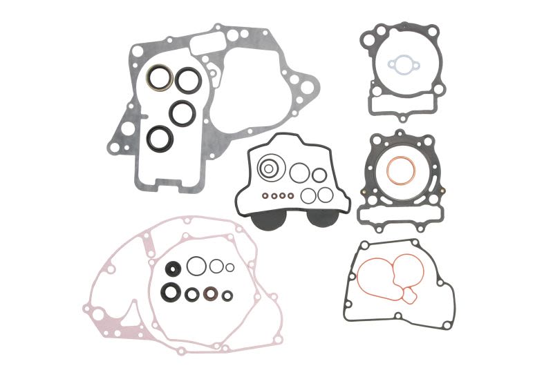 Set complet garnituri motor WINDEROSA