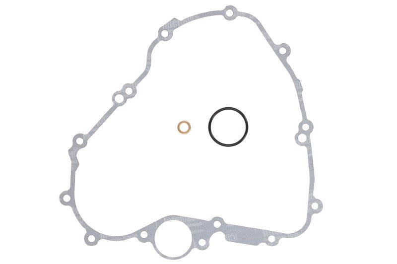 Garnitură capac alternator WINDEROSA