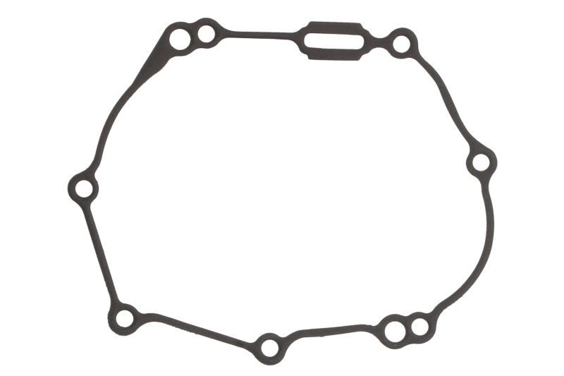Garnitură capac alternator WINDEROSA