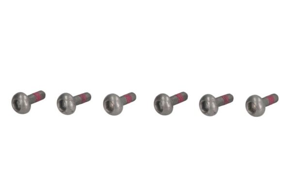 Șurub disc frână TRW cantitate 6,0 buc., pas filet 1,0 mm, dimensiune filet M6 mm, lungime 23,0 mm