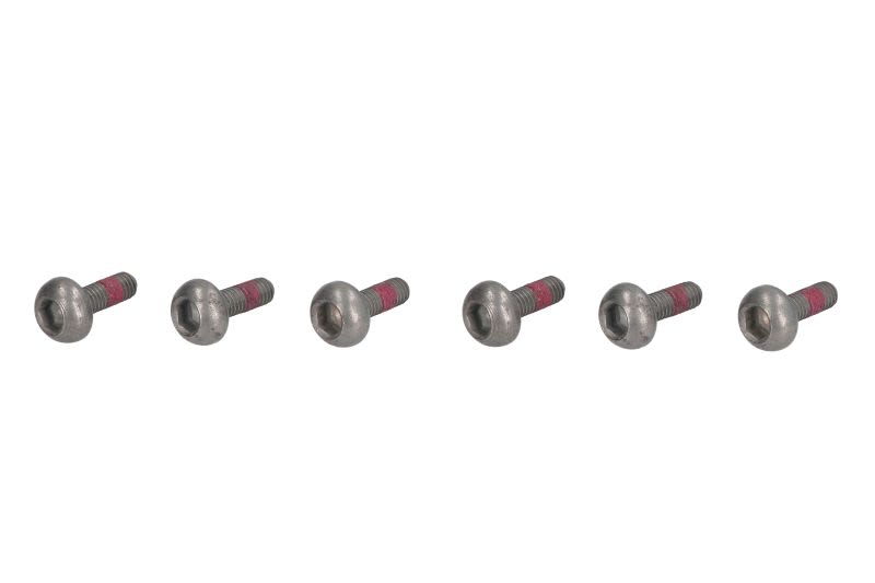 Șurub disc frână TRW cantitate 6,0 buc., pas filet 1,0 mm, dimensiune filet M6 mm, lungime 23,0 mm