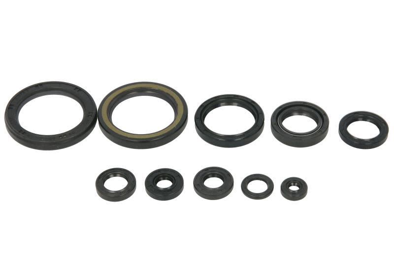 Set simeringuri motor WINDEROSA