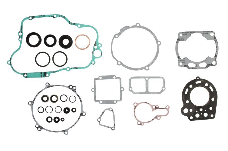 Set complet garnituri motor WINDEROSA
