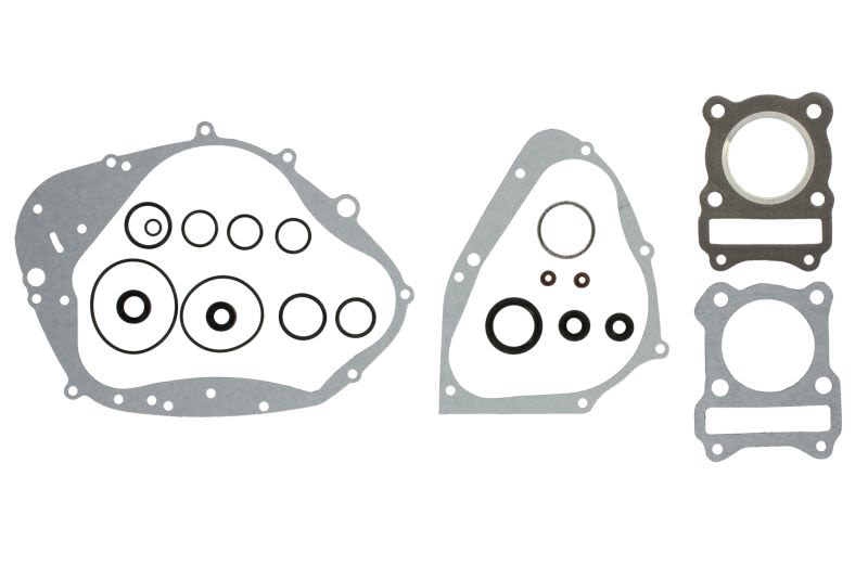 Set complet garnituri motor WINDEROSA