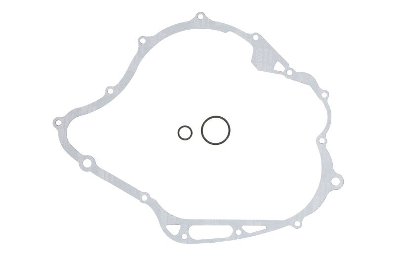 Garnitură capac alternator WINDEROSA