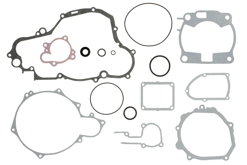 Set complet garnituri motor WINDEROSA