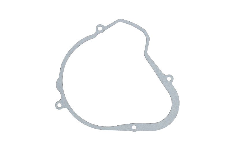 Garnitură capac alternator WINDEROSA