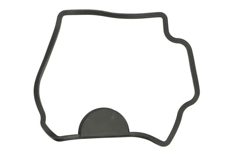 Garnitură capac chiulasă WINDEROSA