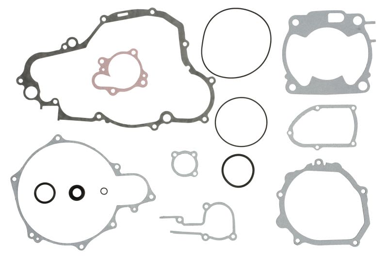 Set complet garnituri motor WINDEROSA