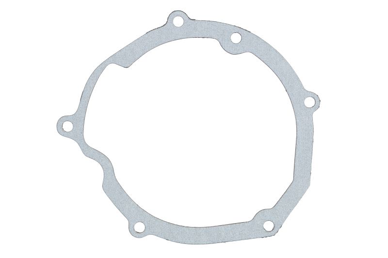 Garnitură capac alternator WINDEROSA