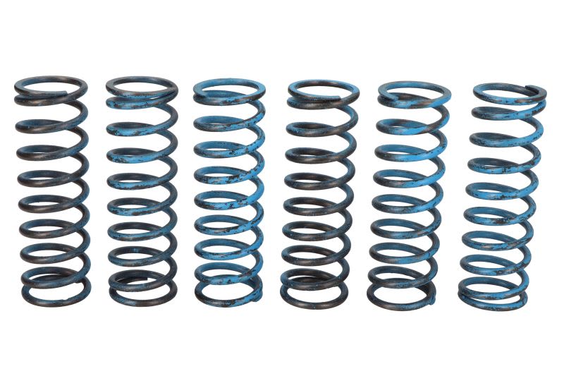 Set arcuri ambreiaj TRW pentru BMW F 650/700/800 2004-2018