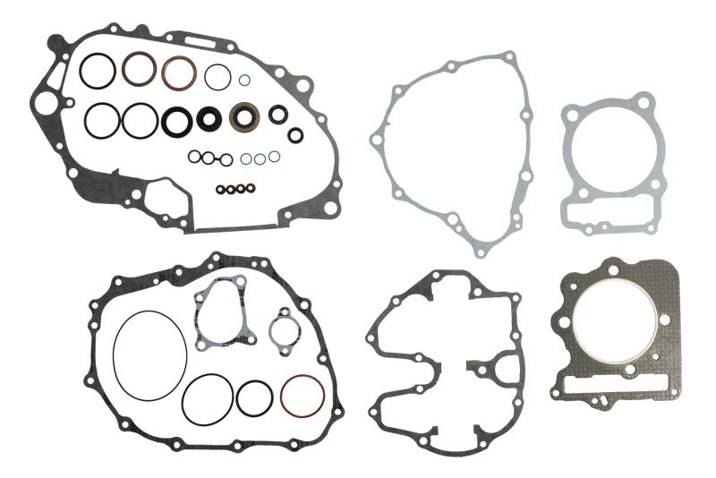 Set complet garnituri motor WINDEROSA