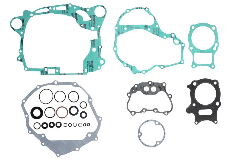 Set complet garnituri motor WINDEROSA