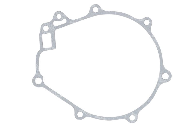 Garnitură capac alternator WINDEROSA