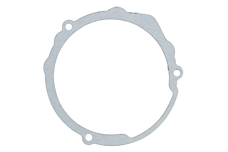 Garnitură capac alternator WINDEROSA