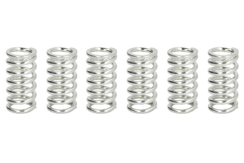 Set arcuri ambreiaj FERODO