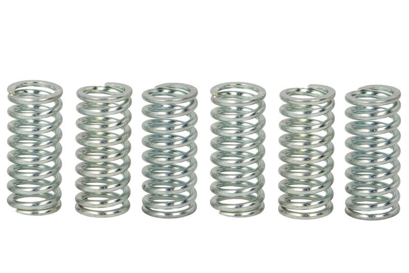 Set arcuri ambreiaj TRW