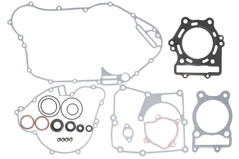 Set complet garnituri motor WINDEROSA