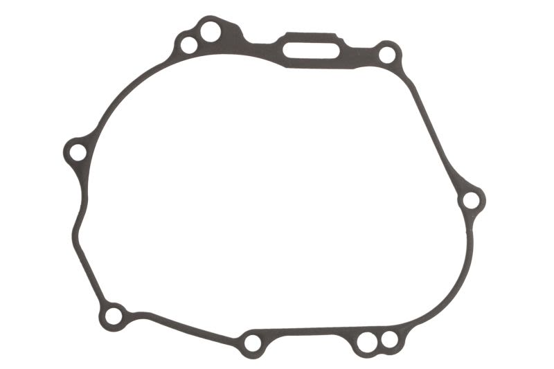 Garnitură capac alternator WINDEROSA
