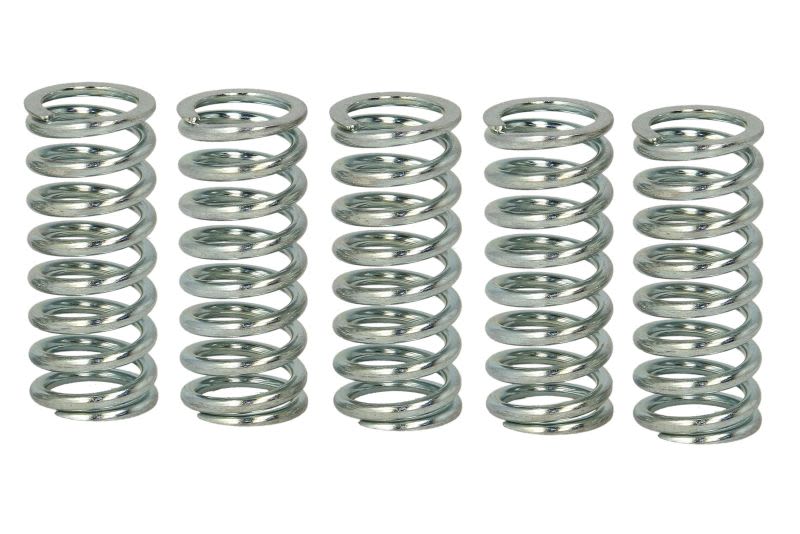 Set arcuri ambreiaj TRW pentru HONDA CB, CBF, CBR, VFR 600/800 2003-2016