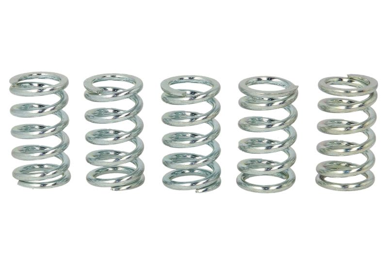 Set arcuri ambreiaj TRW pentru KAWASAKI ER, GPZ, KLE, W, Z 500/650/1000 1979-2007