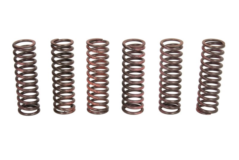 Set arcuri ambreiaj TRW pentru YAMAHA YZF-R6 600 2008-2020