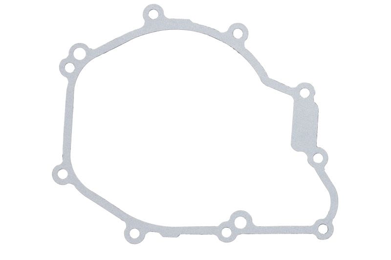 Garnitură capac alternator WINDEROSA