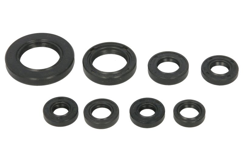 Set simeringuri motor WINDEROSA