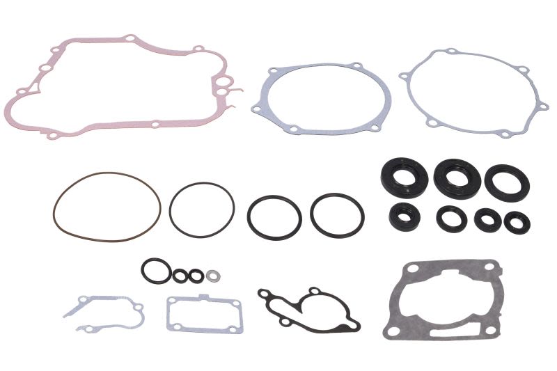 Set complet garnituri motor WINDEROSA
