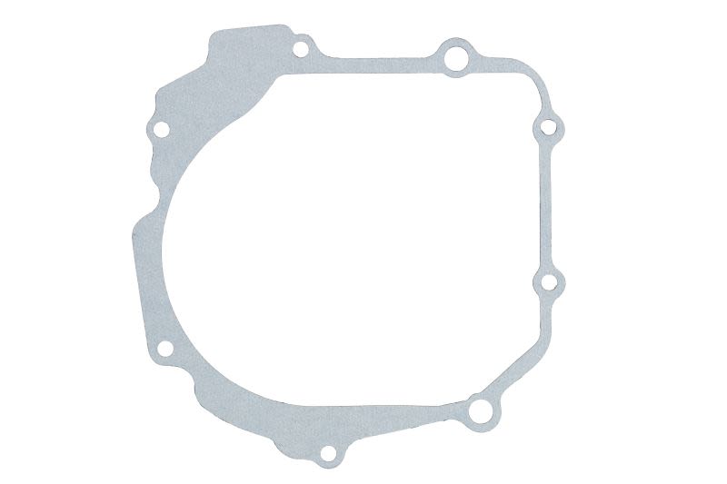 Garnitură capac alternator WINDEROSA