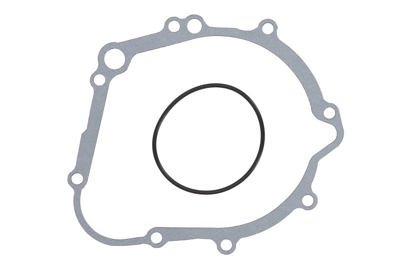 Garnitură capac alternator WINDEROSA