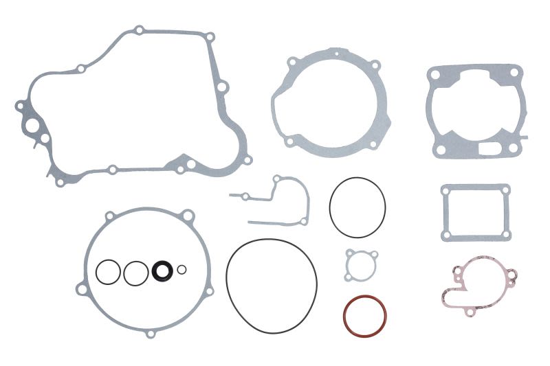 Set complet garnituri motor WINDEROSA