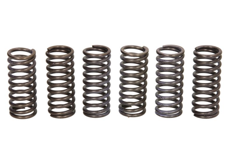 Set arcuri ambreiaj TRW pentru DUCATI HYPERMOTARD, MONSTER 620/796 2002-2012