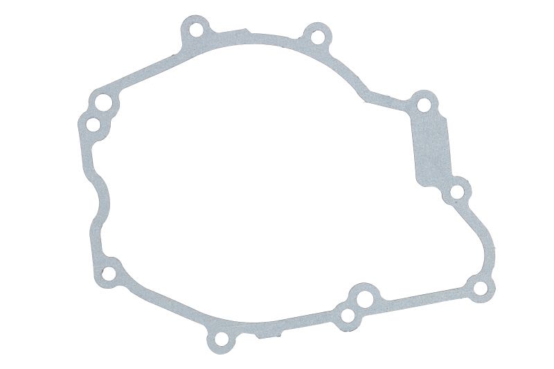 Garnitură capac alternator WINDEROSA