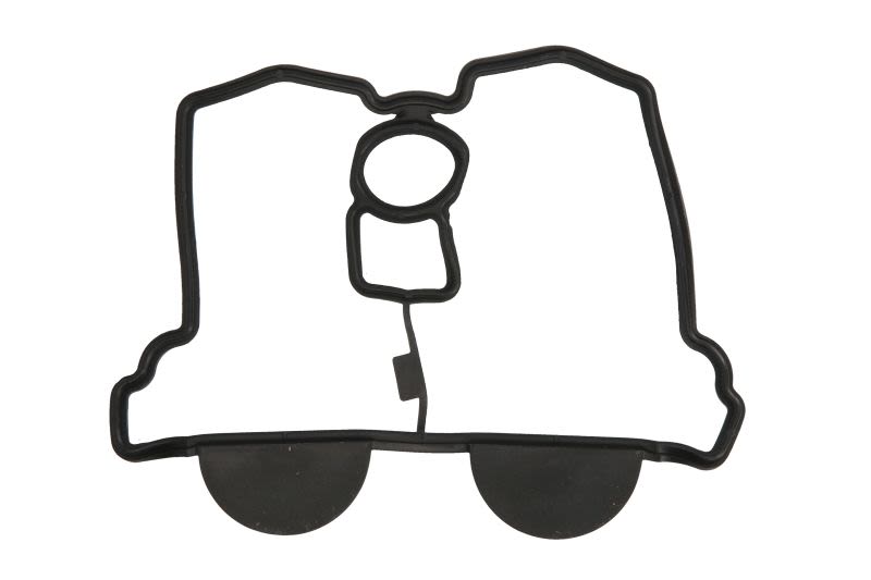 Garnitură capac chiulasă WINDEROSA