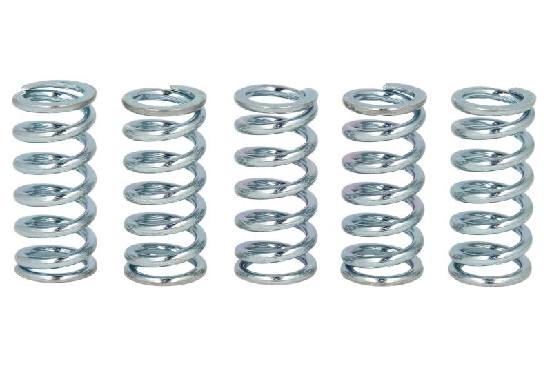 Set arcuri ambreiaj TRW pentru HONDA VF; KTM EXC; YAMAHA XV 400/500/750 1982-1995