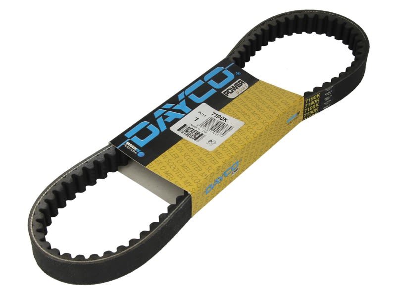 Curea transmisie DAYCO lungime 834,0 mm, lățime 22,0 mm