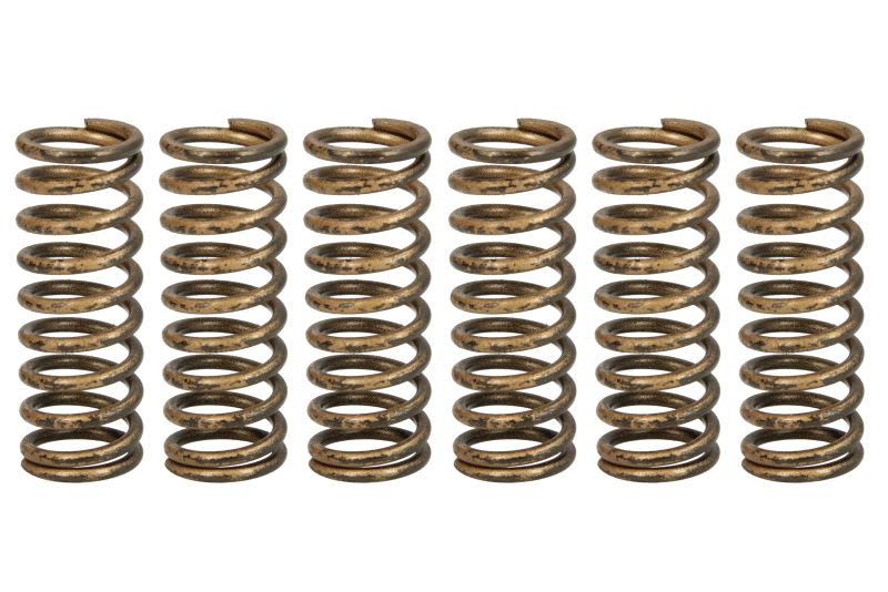 Set arcuri ambreiaj TRW pentru HONDA CRF 450 2002-2009