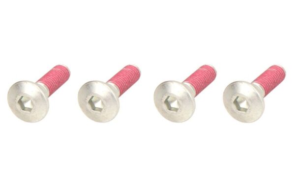 Șurub disc frână TRW cantitate 4,0 buc., pas filet 1,25 mm, dimensiune filet M8 mm, lungime 33,2 mm