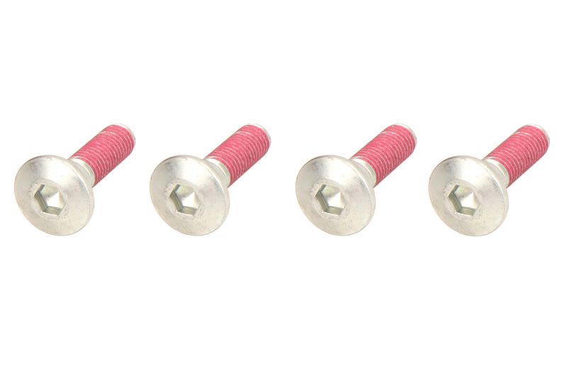 Șurub disc frână TRW cantitate 4,0 buc., pas filet 1,25 mm, dimensiune filet M8 mm, lungime 33,2 mm