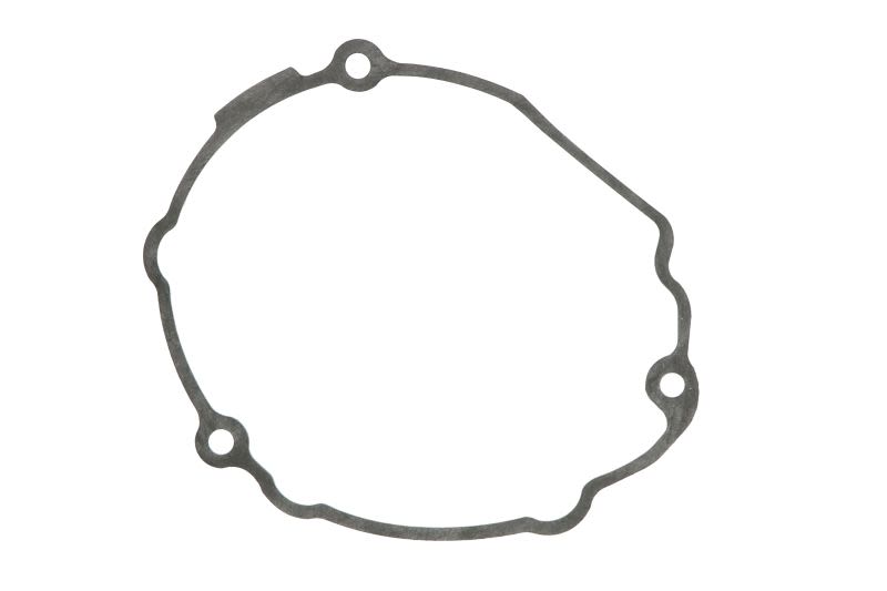 Garnitură capac alternator WINDEROSA
