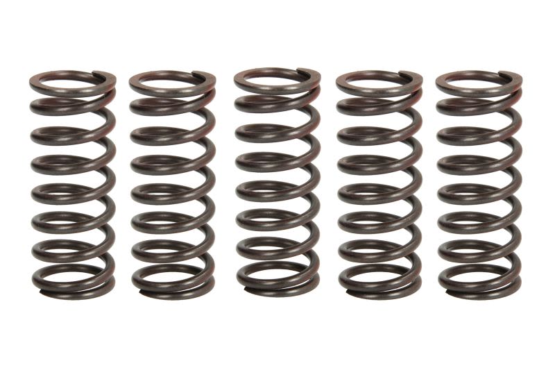 Set arcuri ambreiaj TRW pentru KAWASAKI KLX, KX 450 2005-2018