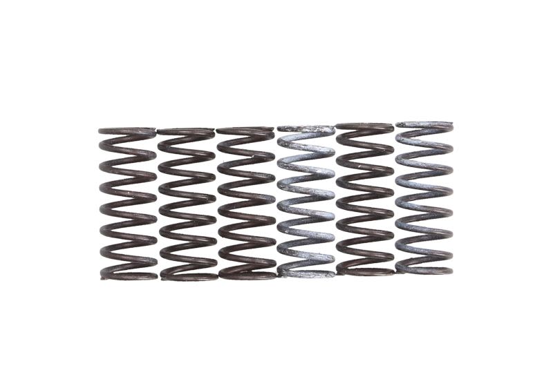 Set arcuri ambreiaj TRW pentru SUZUKI DL, SFV, SV 650 2003-2020