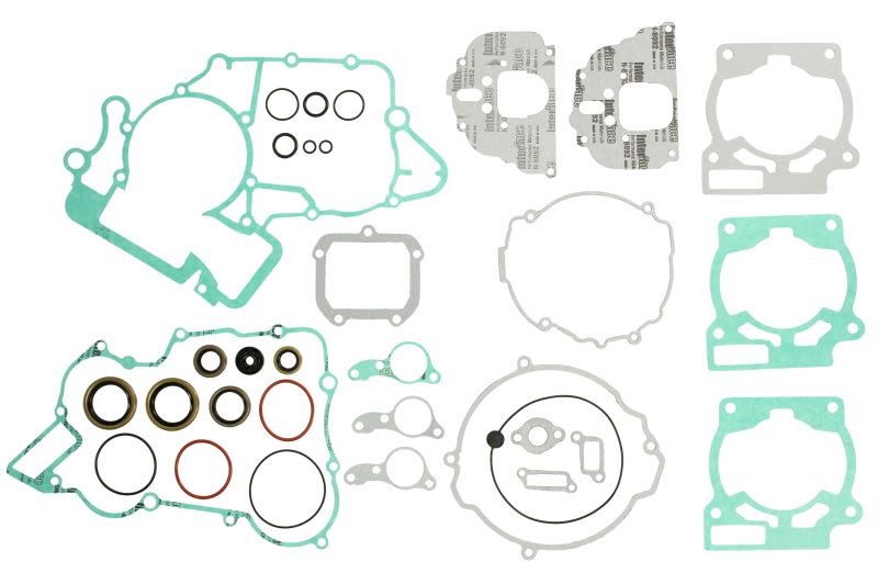Set complet garnituri motor WINDEROSA