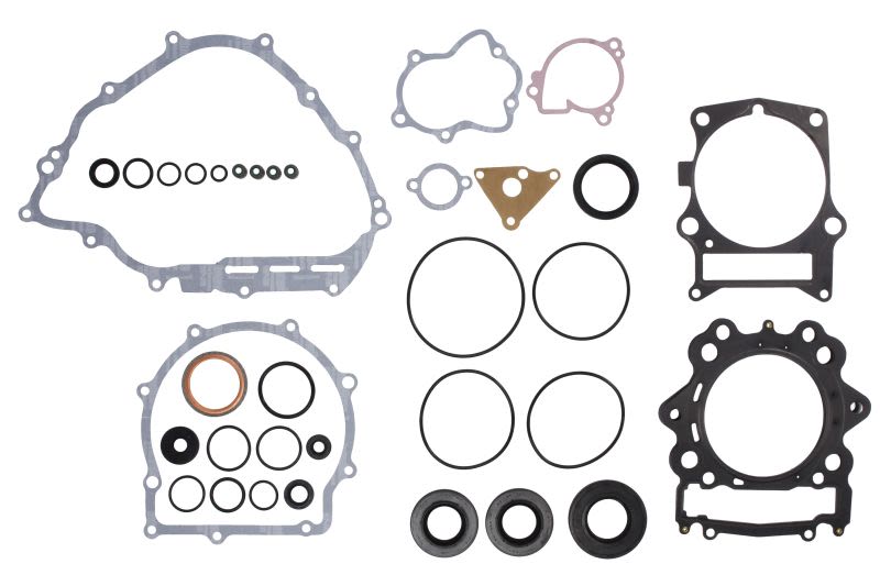 Set complet garnituri motor WINDEROSA
