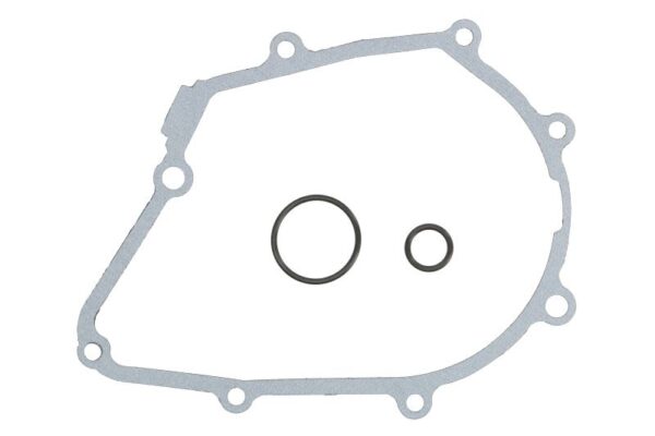 Garnitură capac alternator WINDEROSA pentru HONDA C, MSX, Z 125 2014-2021