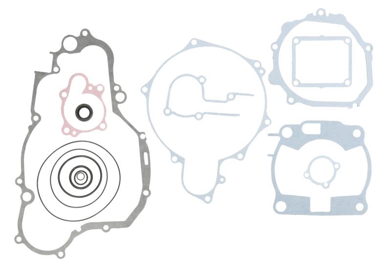Set complet garnituri motor WINDEROSA