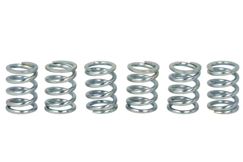 Set arcuri ambreiaj TRW pentru SUZUKI GSX 1300 1999-2007