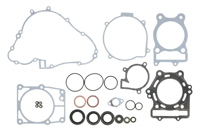 Set complet garnituri motor WINDEROSA
