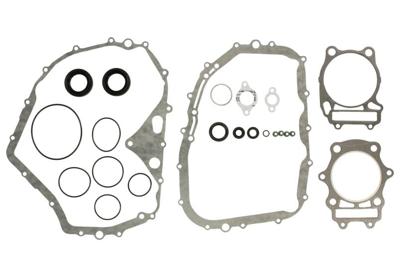 Set complet garnituri motor WINDEROSA